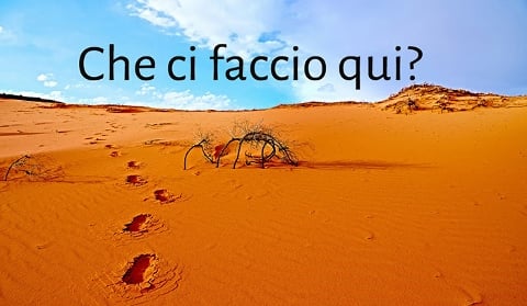 Che ci faccio qui?